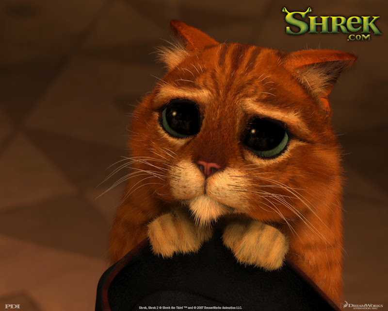 Puss in Boots Cartoon wallpaper Cartoon Wallpaper