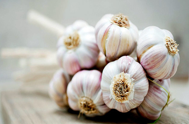 [Image: cach-tri-mun-bang-toi.jpg]