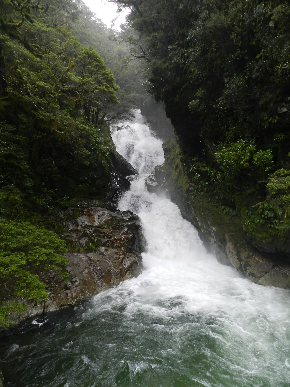 Not Without My Backpack New Zealand South Island
