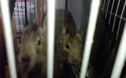 20120730-002.JPG