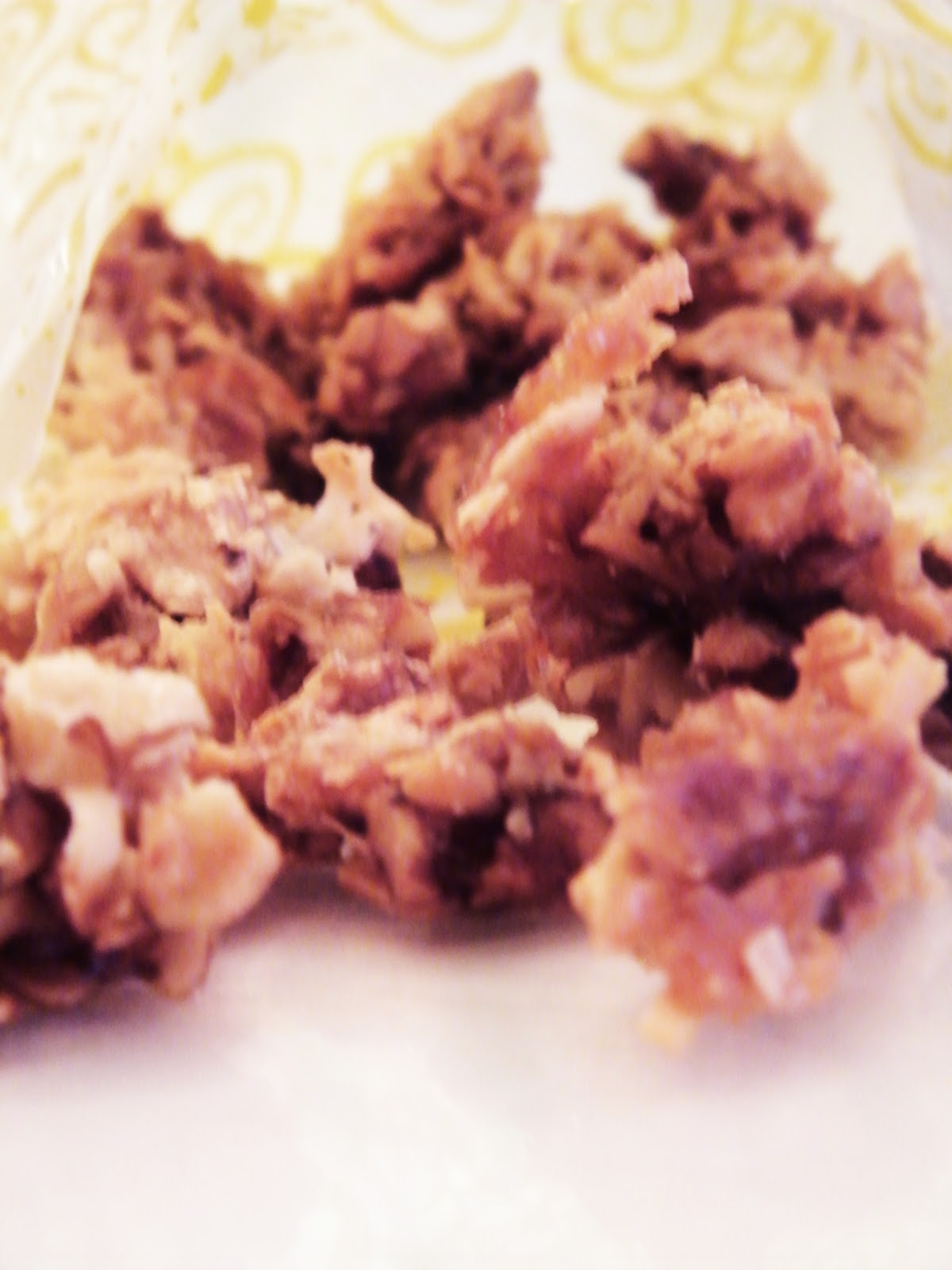 Easy Candied Coconut Walnut Clusters Minneapolis Homestead