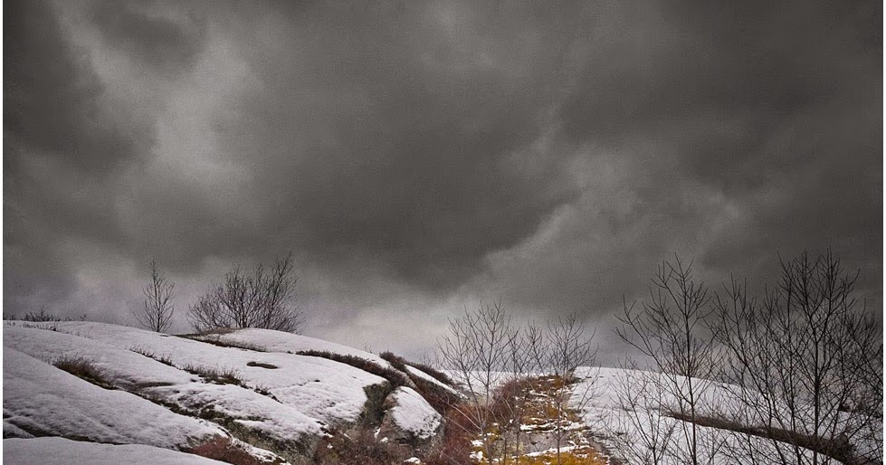 Silverpixel SNOW LANDSCAPE, LAVIGNE, ONTARIO