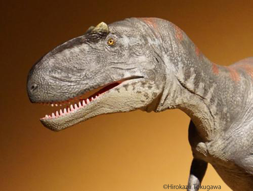 恐竜・古生物造形作品ギャラリー: アロサウルス(2015)