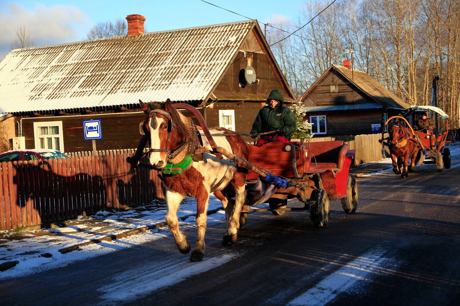 Gwiazdka w Puszczy - Ania w Podróży