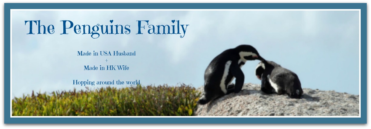 The Penguins Family
