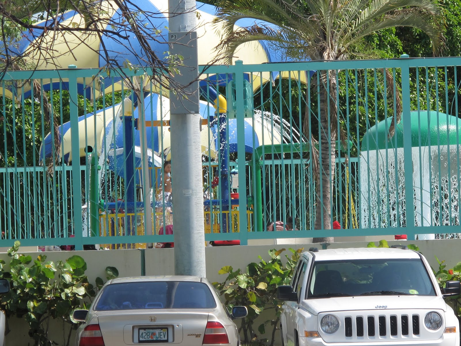 The Parks Department Flamingo Park