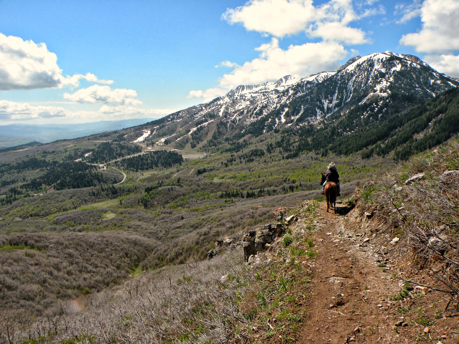 Dream Packer Trail Adventures Snow Basin, Utah, Sardine PeakOverlook