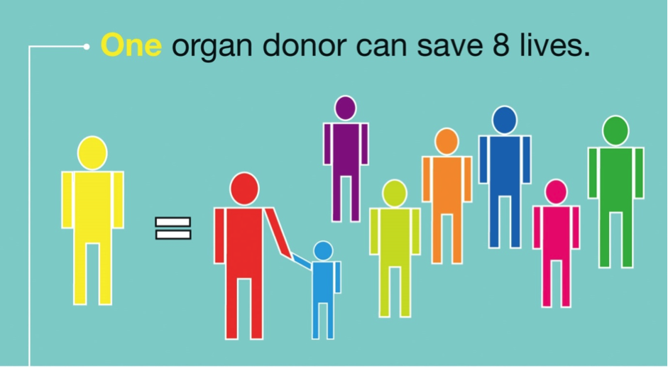 Image on light seafoam green background reading One organ donor can save 8 lives. A single person figure, yellow, stands to the left with an equals symbol to their right, and 8 person figures of different sizes and colours stand on the other side of the equal sign.