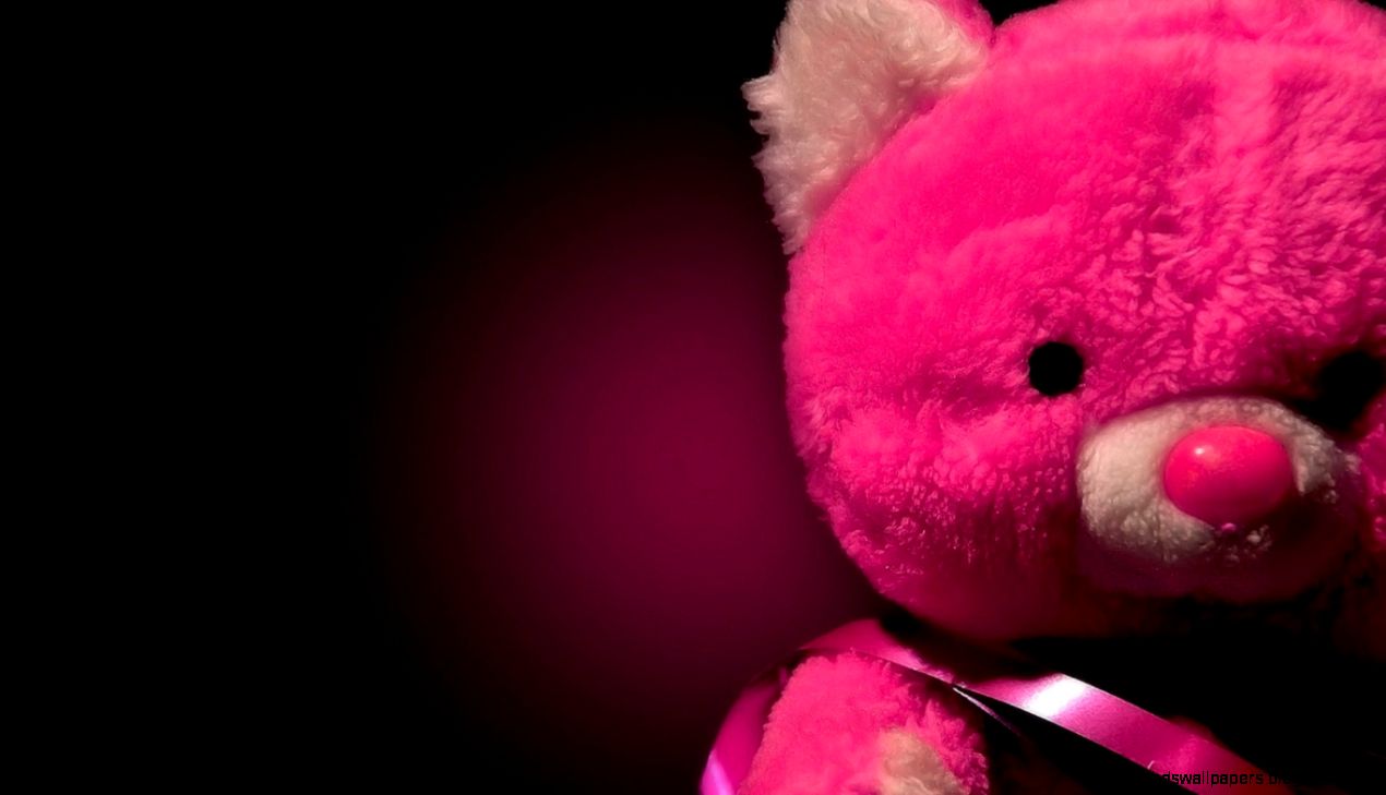 Pink Teddy Bear Pink Teddy Bear