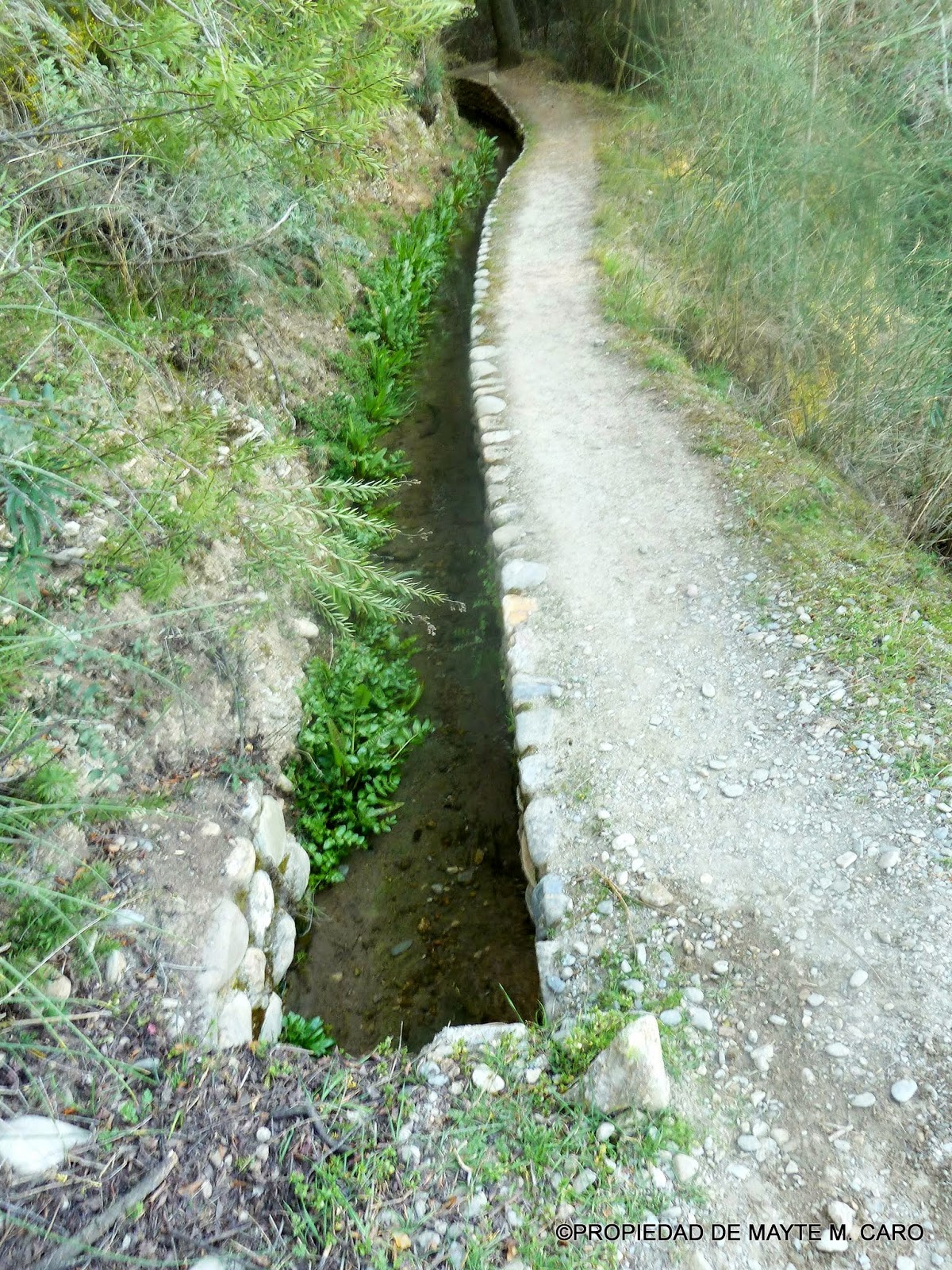 FUENTES DE GRANADA La Acequia Real parte desde la HaciendaCortijo de