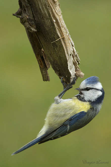 drole de posture