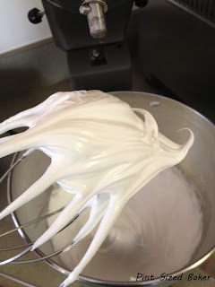 Grandma's Brownies 5 PS+Grandma's+Brownies+(8)