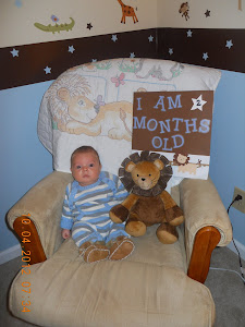 LEO - TWO MONTHS OLD