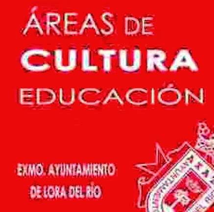 CONCEJALIA DE CULTURA