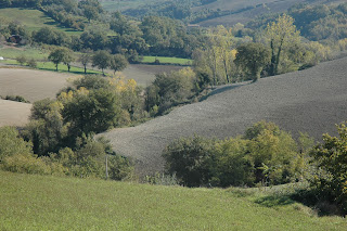 altri campi arati cintati da alberi other arable fields enclosed by trees
