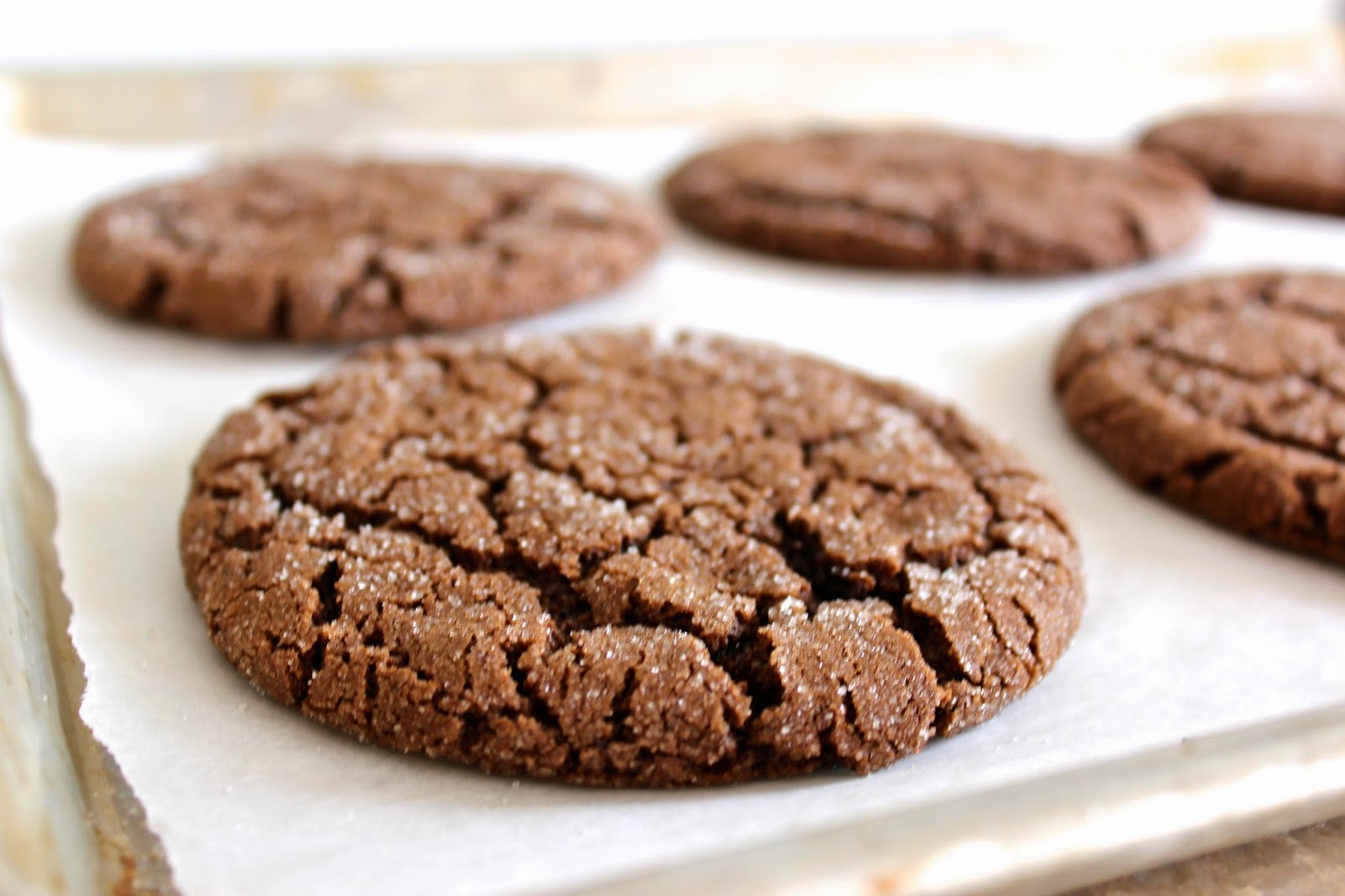 Sugar Coated Inspiration The sweeter things. { Chocolate Sugar Cookies }