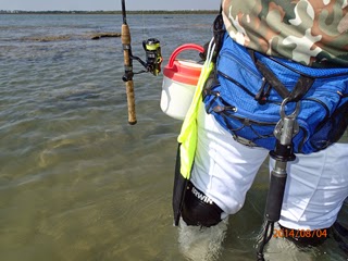 best whiting rod and reel