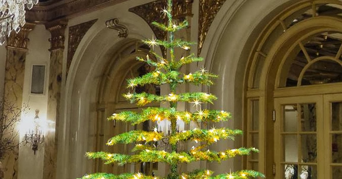 NobleFirChristmasTree How to Buy a Live Noble Fir Christmas Tree