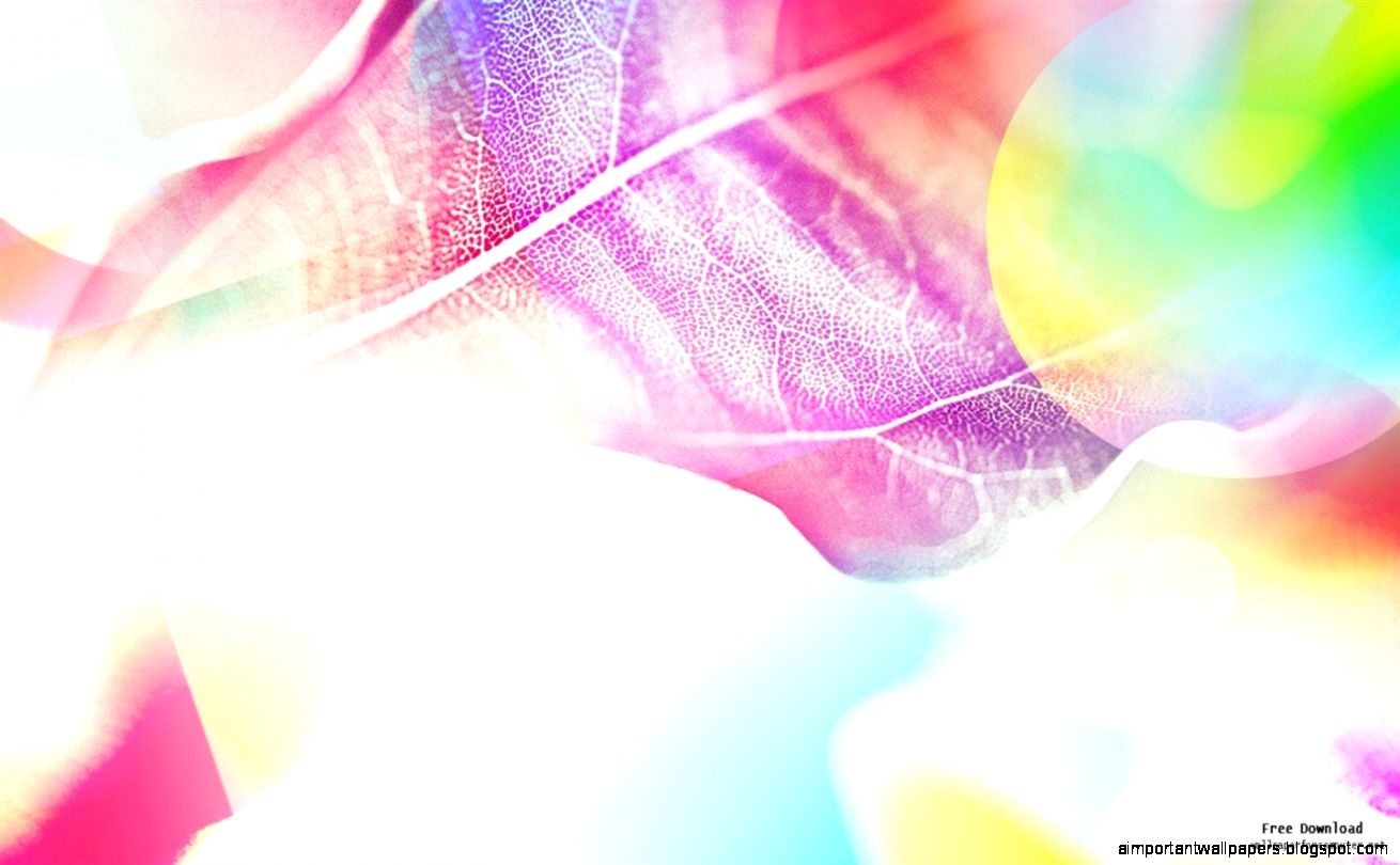 Colorful Leaves Under The Sun Abstract Design Wallpaper Background Colorful Leaves Under The Sun Abstract Design Wallpaper Background