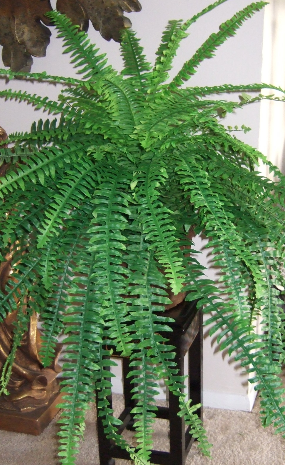 Ana Silk Flowers Images of Silk artificial Ferns!!!!