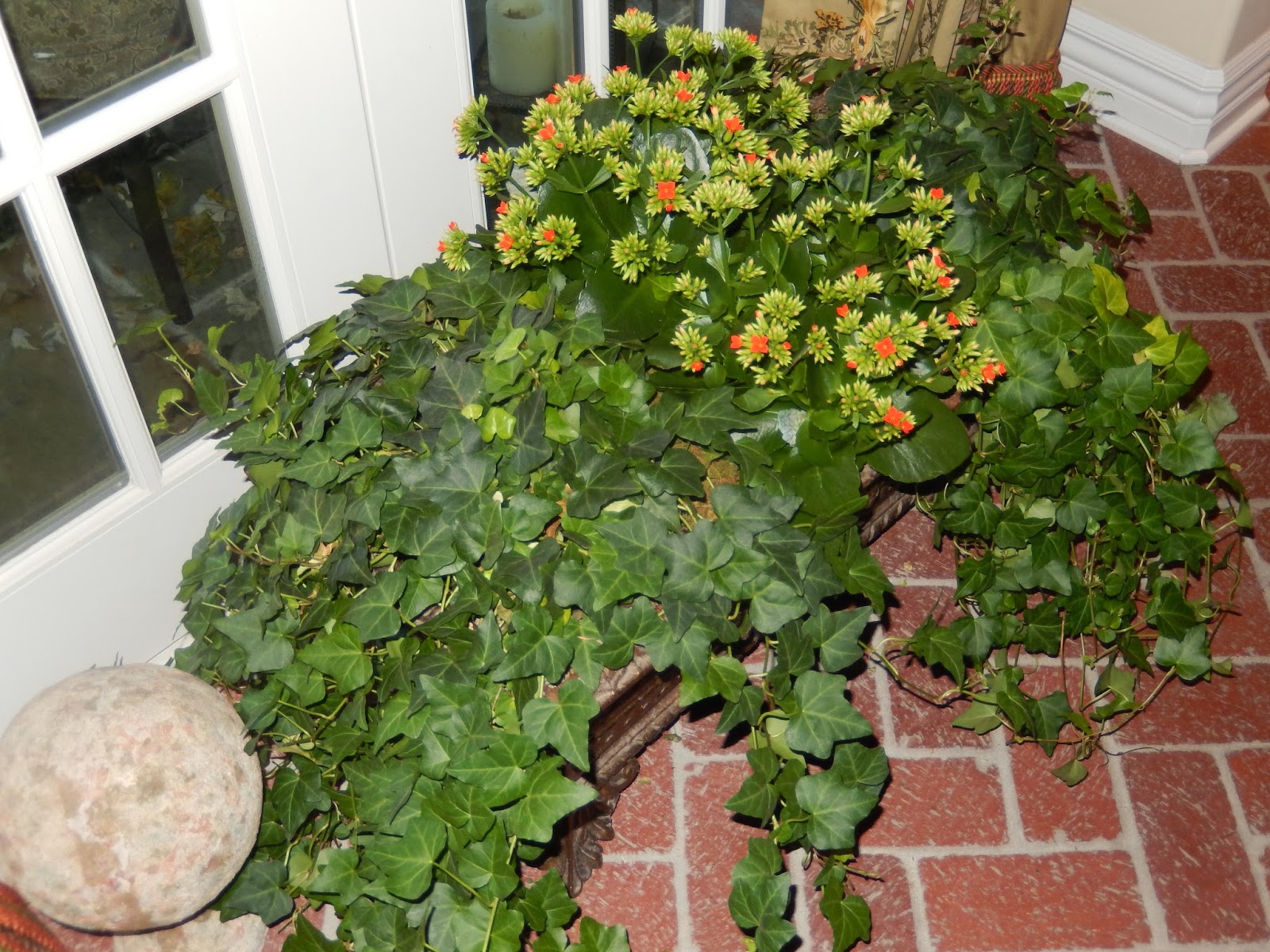 The French Tangerine grocery store plants/flowers