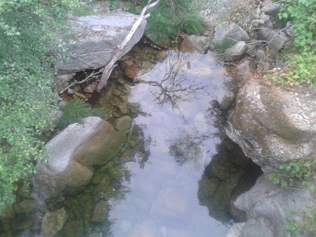 Ribeira da caniça Ribeira da caniça