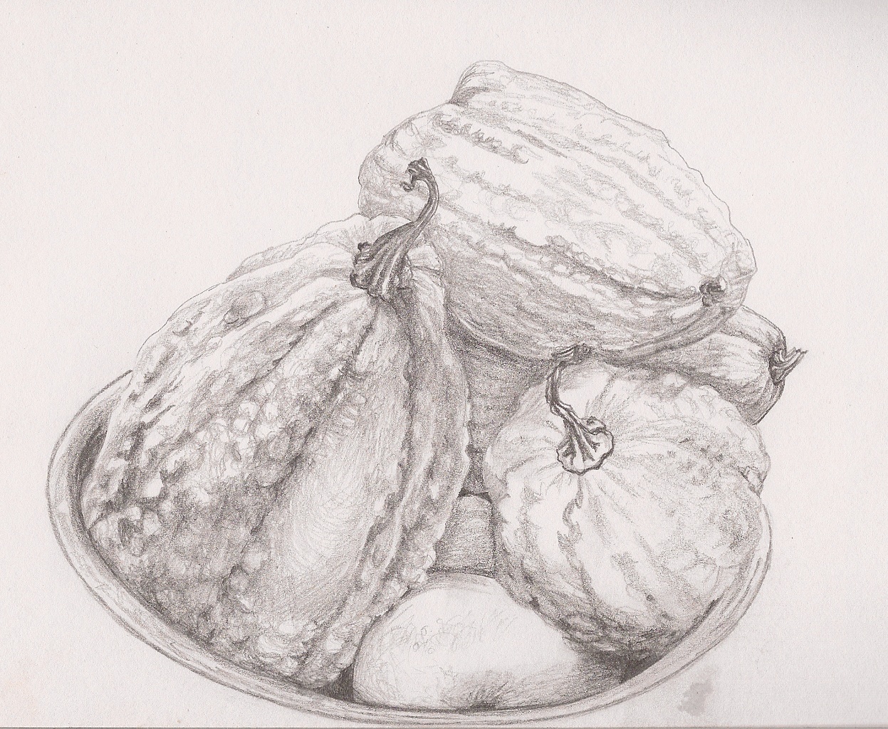 Squash Sketch