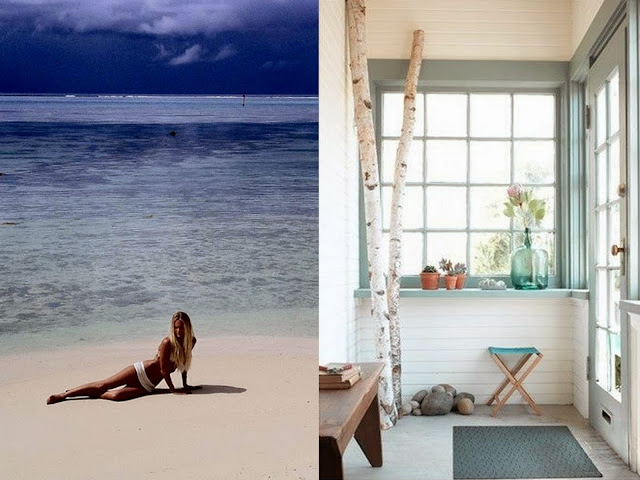 moodboard,blue lagoon,le lagon bleu,the mood,dentelle,coquillage,plamier,turquoise