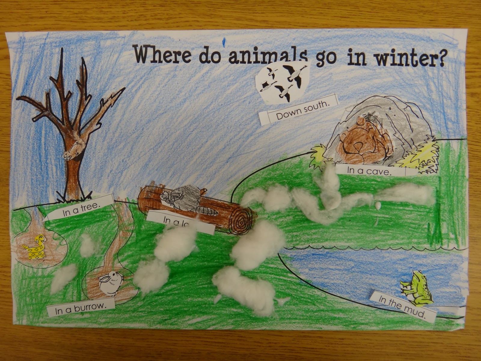 worksheet Where Do Animals Go In Winter Worksheet first grade garden more bears