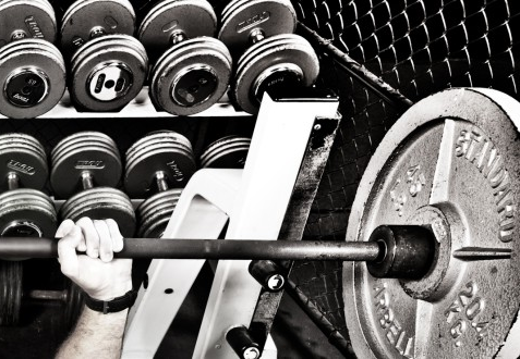 Power Up Your Bench With Maximal Velocity On The Bench Almost 2x