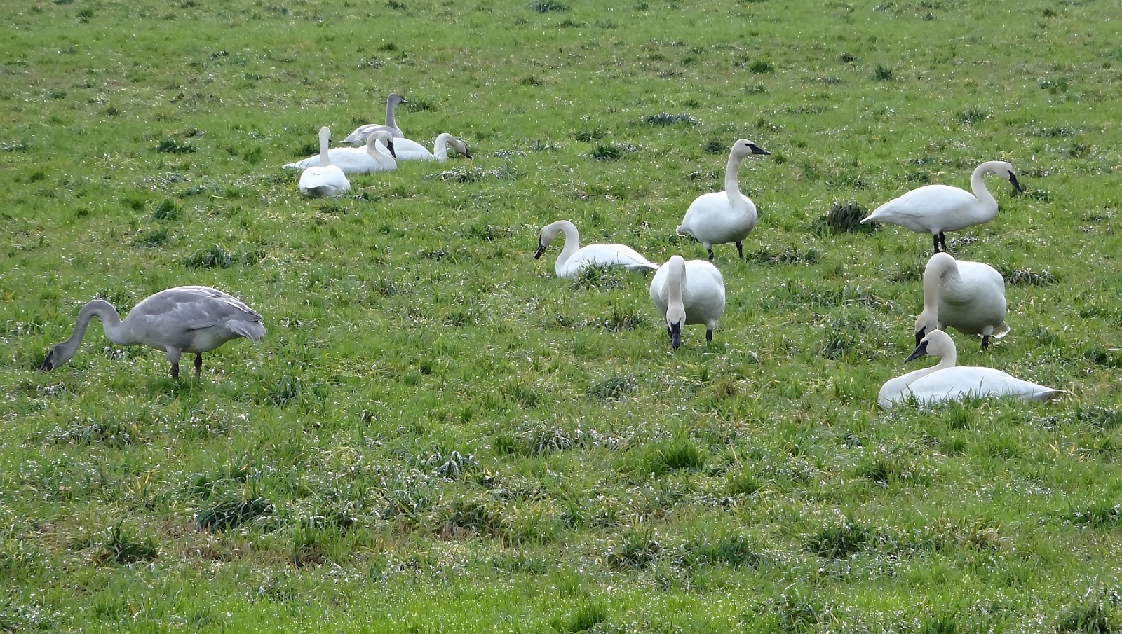 A & J's RETIREMENT ADVENTURE Comparison Living in BC vs Ontario