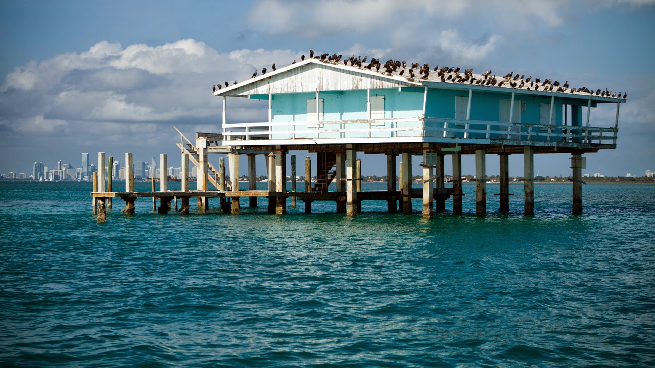 Frangipani House Sits Blog An armchair visit to... Stiltsville, Miami