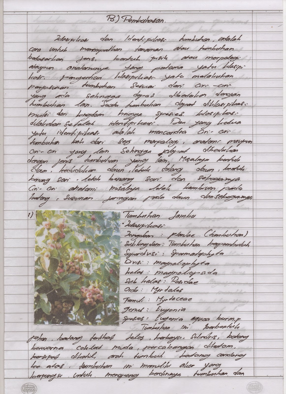 kuliah move on: Praktiikum Kation Golongan 2