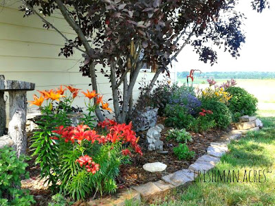 ~Irishman Acres~: Top Ten Rules for Country Living