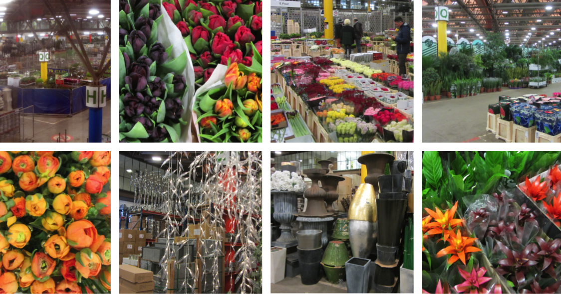 Jane's London New Covent Garden Flower Market and the Promenade of Curiosities