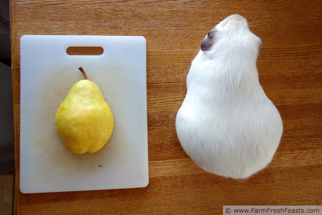 Farm Fresh Feasts Fresh Pear, Fig Jam, and Goat Cheese Pizza (Pizza