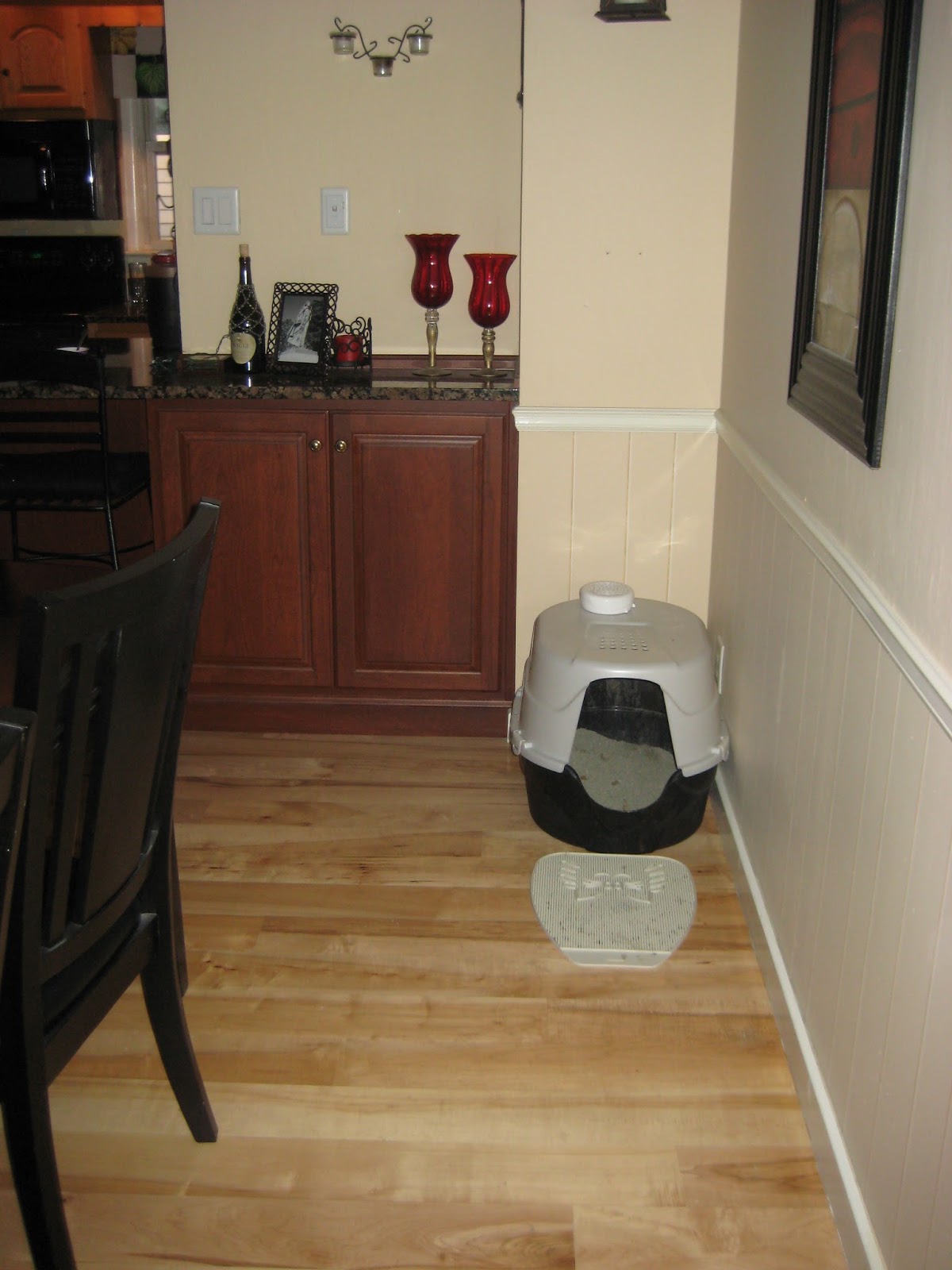 Meg Go Run August 2013