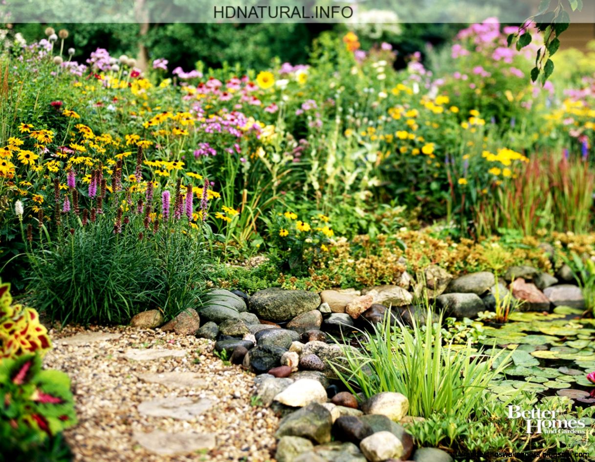 Free Wallpaper Nature Scenes Img Need Free Wallpaper Nature Scenes Img Need