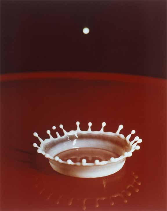 The Reel Foto Harold Eugene Edgerton In the Blink of an Eye
