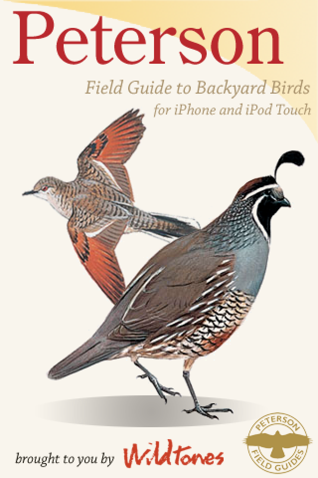 Synthesis Tech Time Peterson Field Guide App