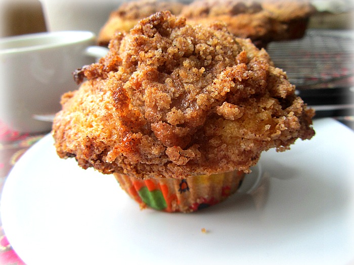 Sour Cream Choc Chip Muffins