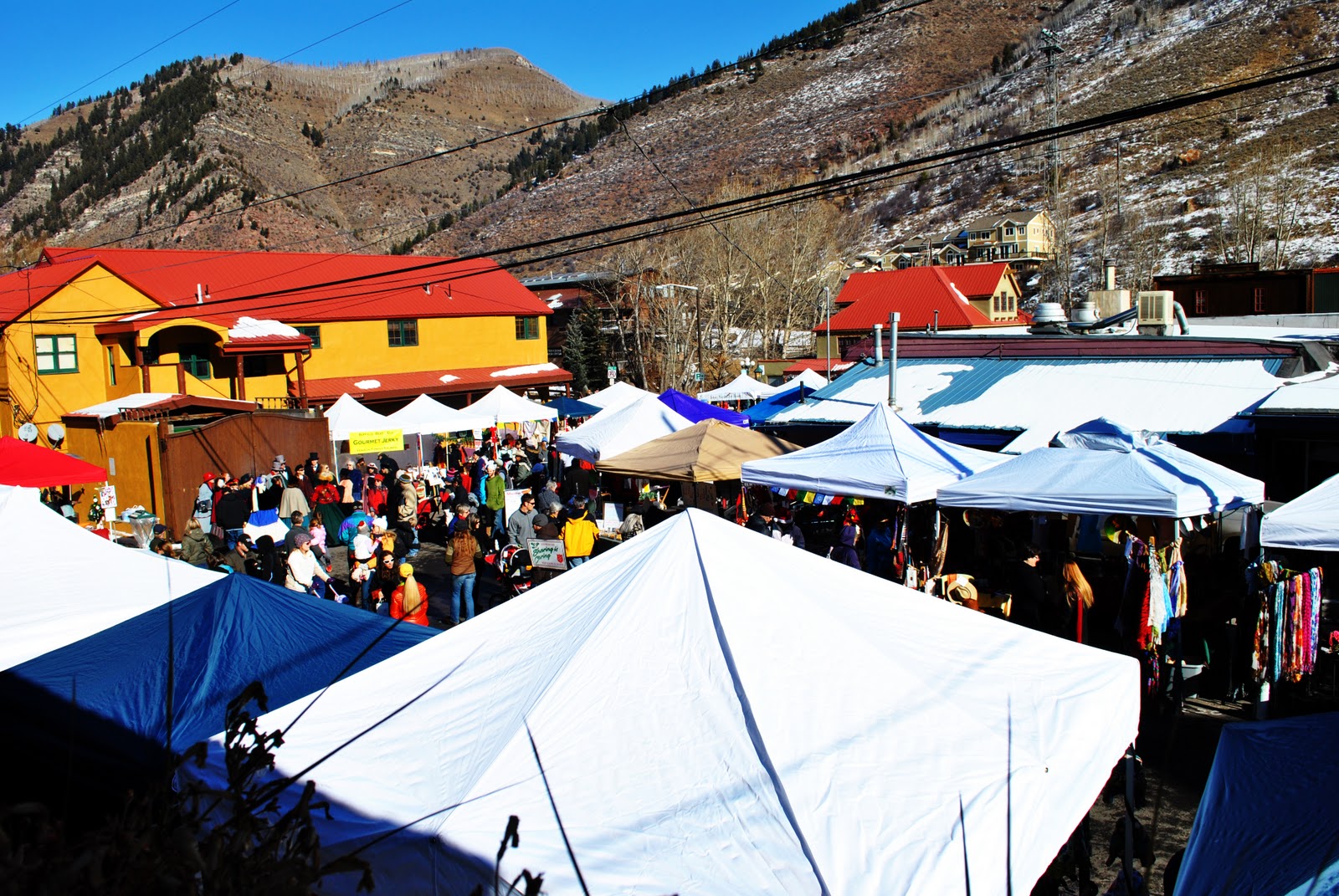 The Minturn Lions Head