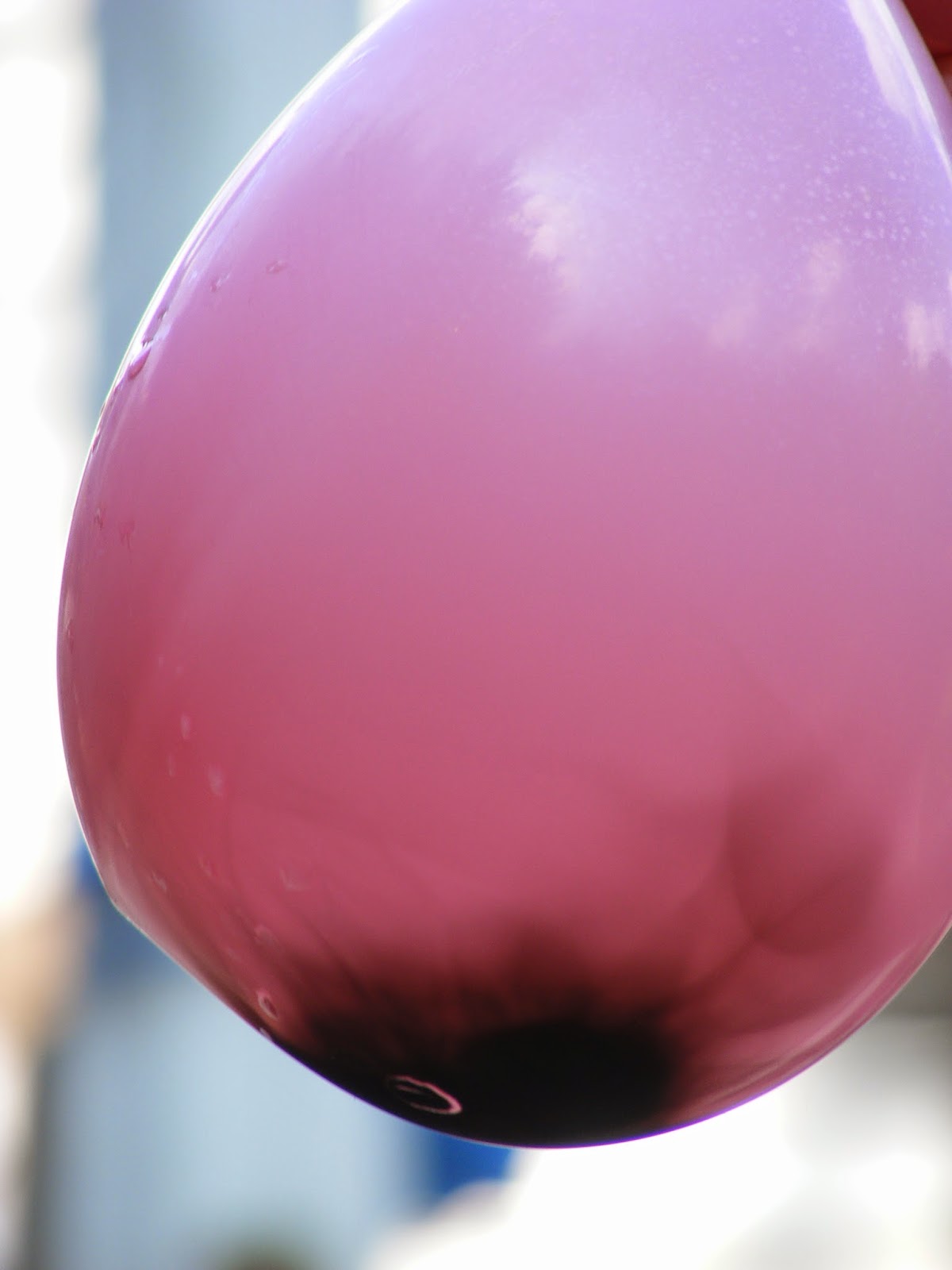 Ten kids and a Dog FireResistant Water BalloonsWater science