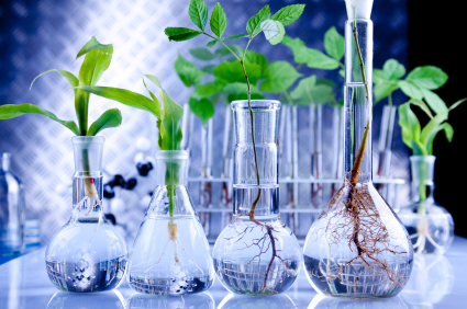 IMPORTANCIA DE LA BIOTECNOLOGIA importancia de la biotecnologia:
