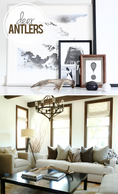 Decorating With Antlers Brittany Stager