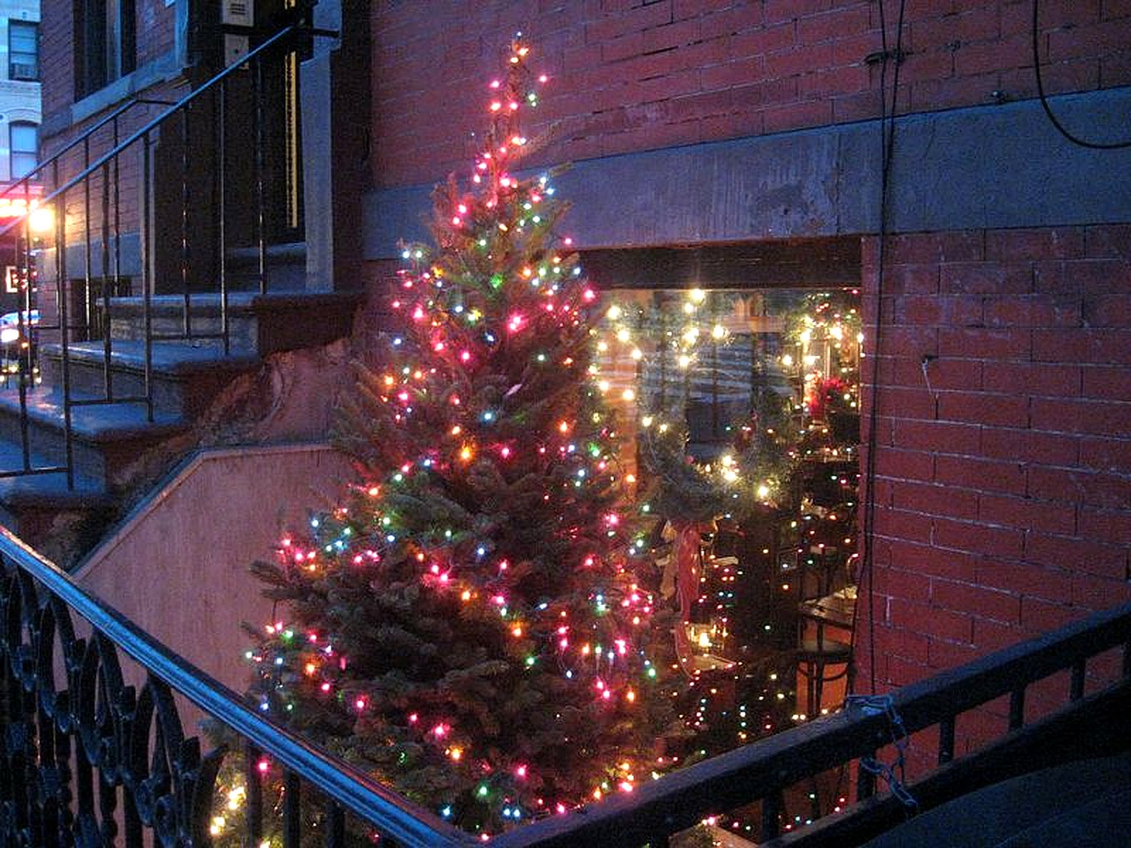 Christmas Tree Amsterdam Avenue and 83rd Street Upper West Side NYC