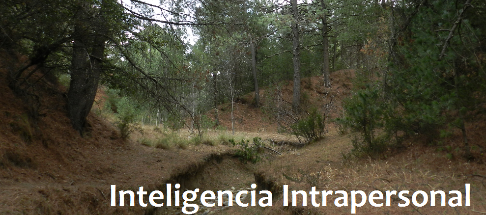 Inteligencia intrapersonal