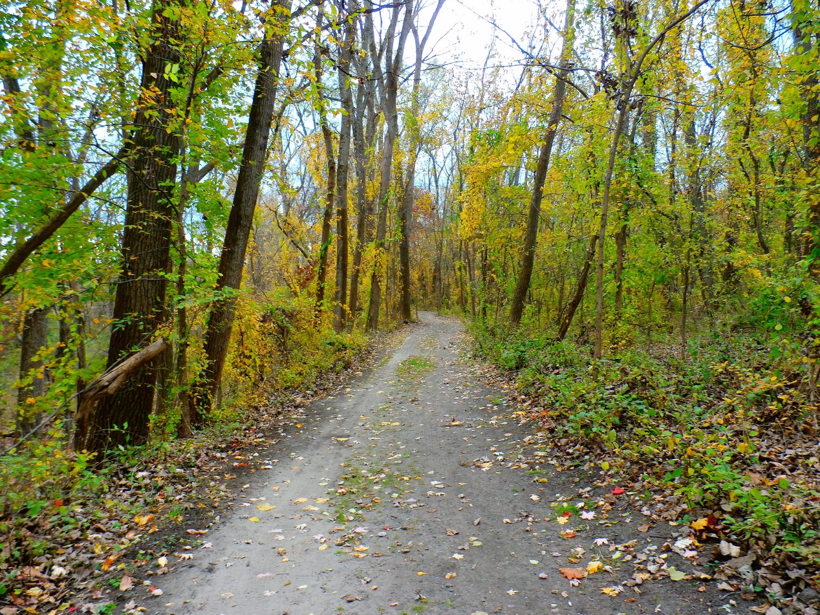 Walking Man 24 7 Schodack Island State Park