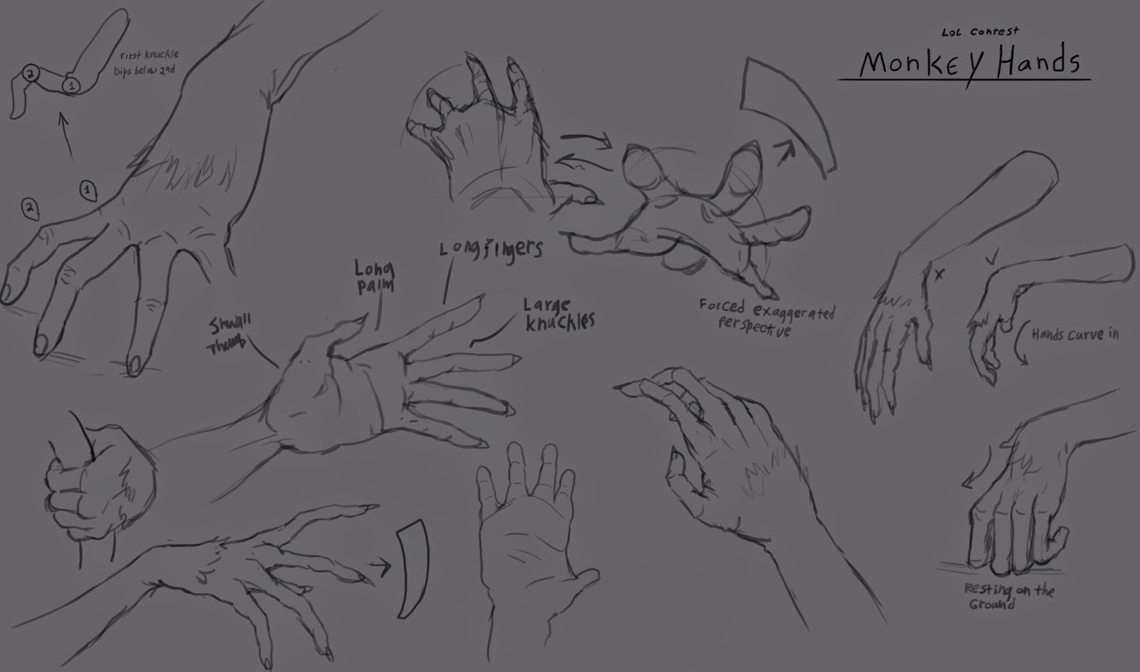 monkey%2Bhands%2Bstudy.jpg