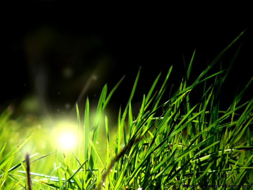 nature wallpaper hd nature wallpaper hd